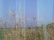 TER to Nîmes