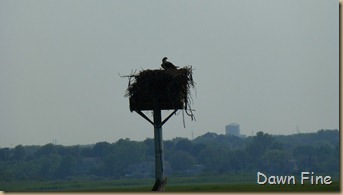 Basshole beach_022