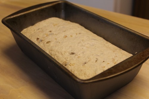 sourdough-einkorn-spelt-multigrain_12