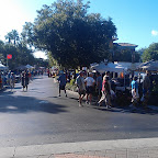 IMAG0138.jpg