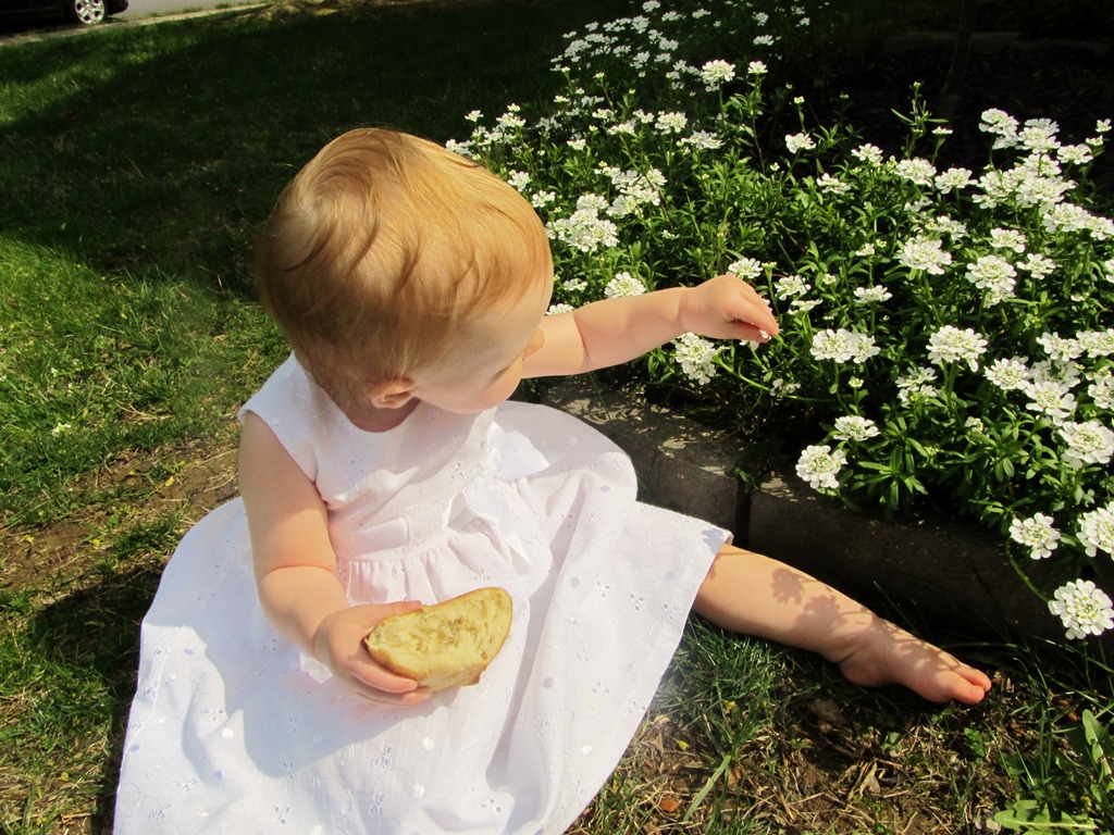 [IMG_24944.jpg]