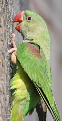 [DSC_0467%255B5%255D.jpg]