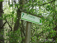 dsc06302.jpg