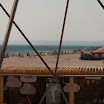 _MG_6486.jpg
