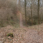singold-bote_waldlehrpfad-schwabegg_031.jpg