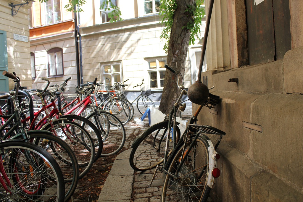 [IMG_77833.jpg]