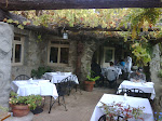 IMG00505-20091010-1250.jpg