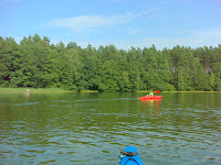 DSC04554.JPG Photo