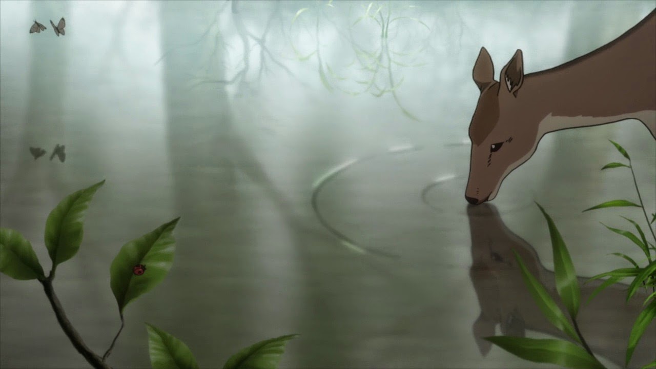 [Mushishi%2520Zoku%2520Shou%2520-%252010%2520-%2520Large%252036%255B2%255D.jpg]