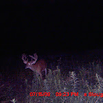 MDGC0253.JPG
