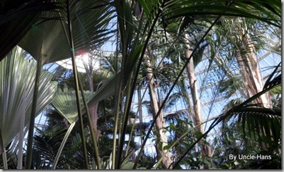 2012-03-04_10-57-41_455 2012-03-04_10-57-41_455