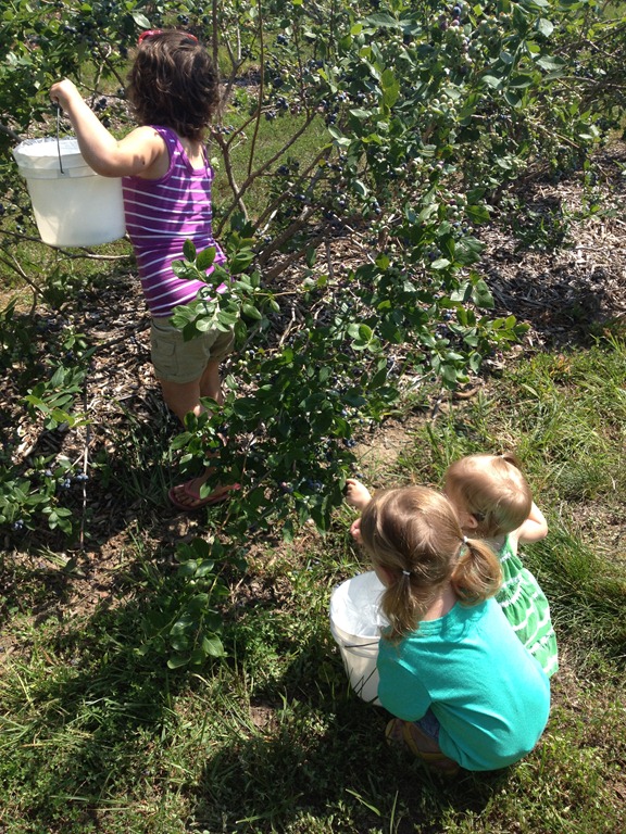 [IMG_2053%255B4%255D.jpg]