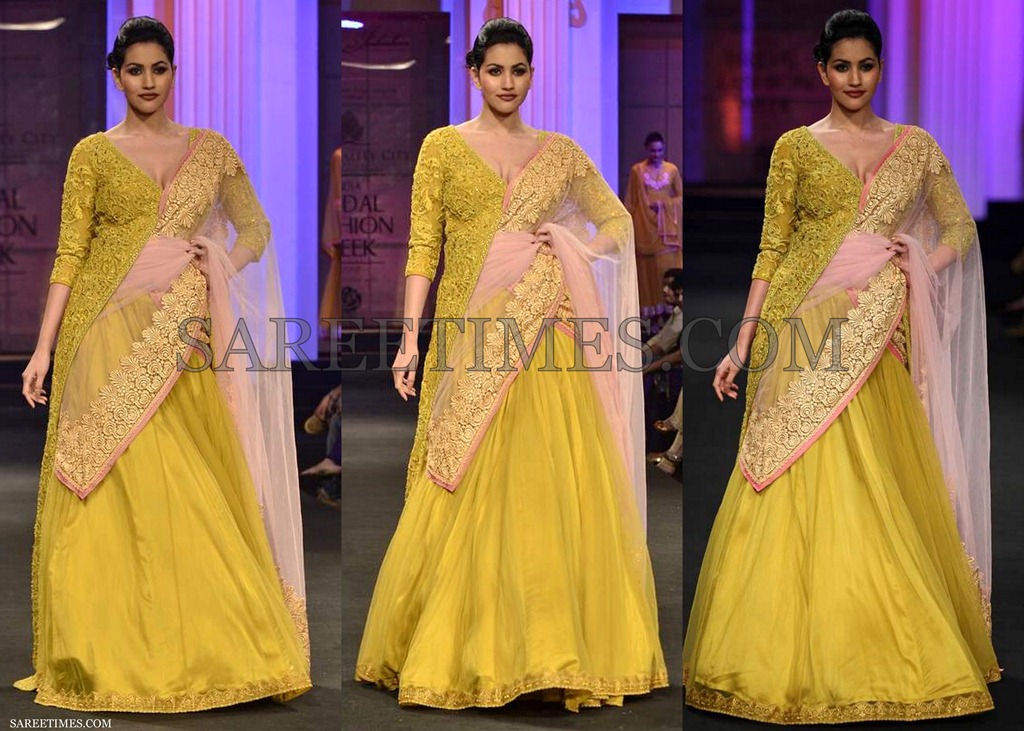 [Pallavi_Jaikishan_Saree4.jpg]
