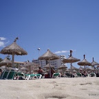 Vakantie 2008 - Mallorca (40).JPG