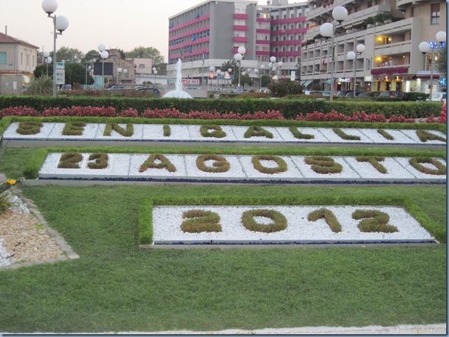 IMG_2553 IMG_2553