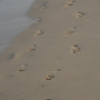 DSC_7172.JPG