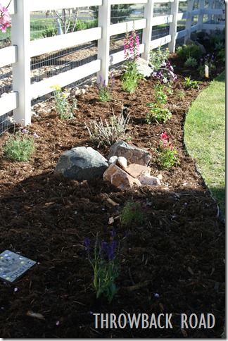Raised Garden Spring 2012 006 Raised Garden Spring 2012 006