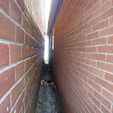 P1050095.JPG