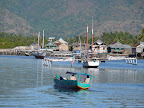 Indo 2009 Slideshow