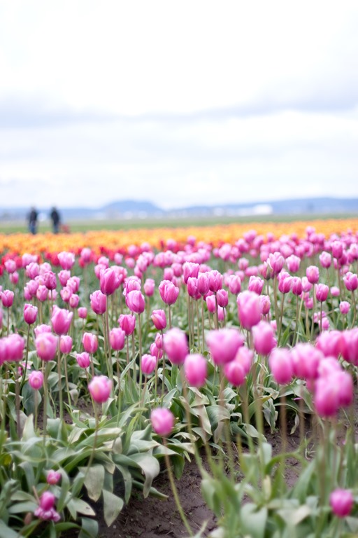 [20130415-IMG_75963.jpg]