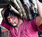 Carrying firewood to prepare lunch for the community.  Achuar Apus (chiefs) have traveled from all over Achuar territory to attend the meeting and they will need to be well fed.