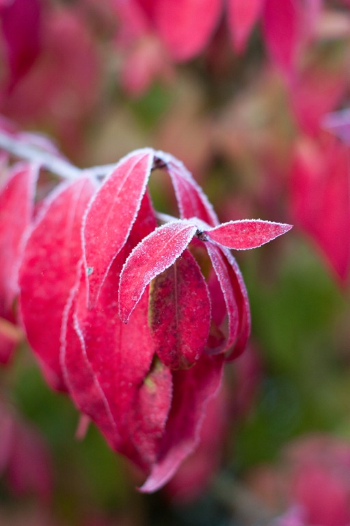 [20111106-IMG_84603.jpg]