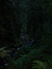columbia_river_gorge