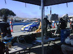 IMG00531-20091010-1548.jpg