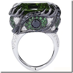amazing ring design