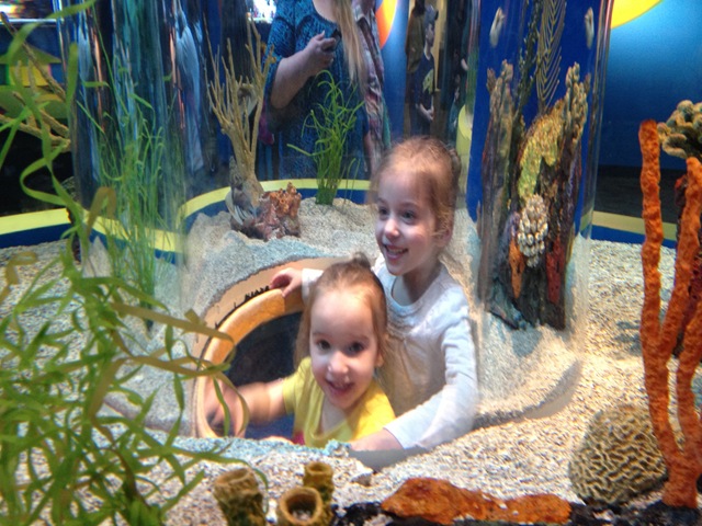 [IMG_4940%255B6%255D.jpg]