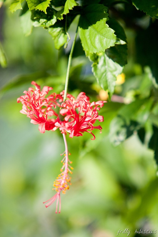 [20121217-IMG_47939.jpg]