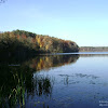 dsc05822.jpg