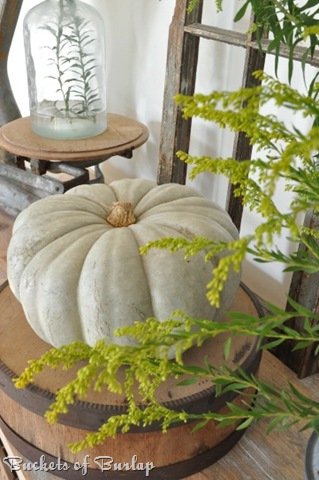 [falldiningcinderellapumpkin7.jpg]