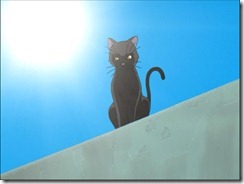 Bleach 15 Black Cat