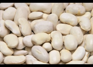 Kacang putih