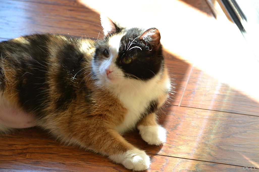 [DSC_6780%255B3%255D.jpg]