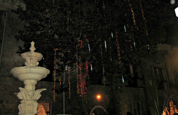[tree%2520lights%255B3%255D.jpg]