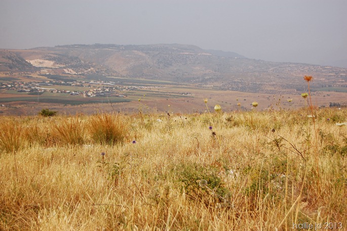 Mt. Arbel5