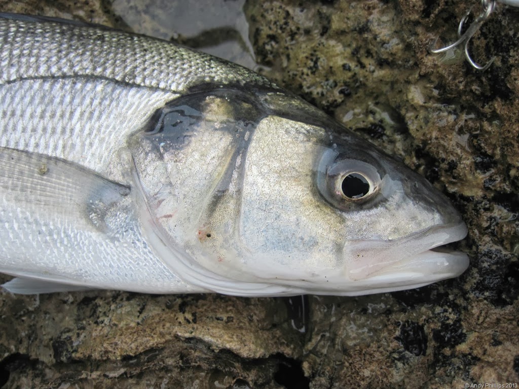 [IMG_1613%255B8%255D.jpg]