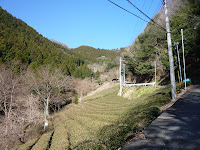 P1100733.JPG Photo