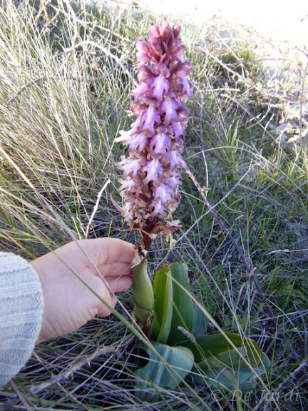 2012_03080005.jpg