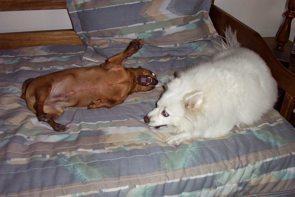 [My%2520Pictures0011%255B4%255D.jpg]