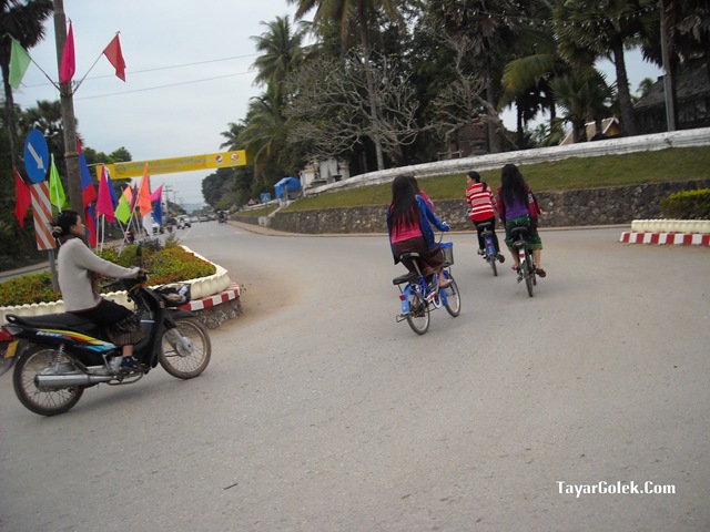 [DSCN80312.jpg]