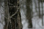 An exercise in focus