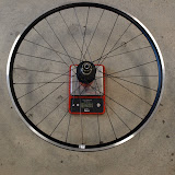image11.jpg