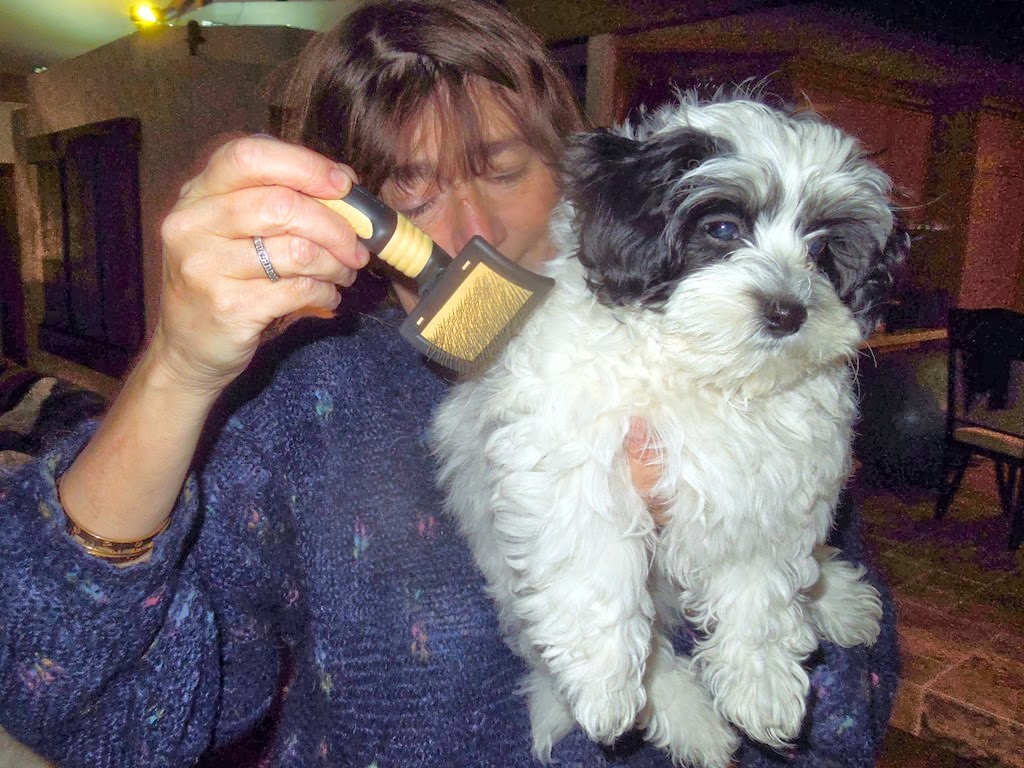 [DSCN8975%255B7%255D.jpg]