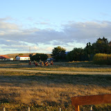 16 - Explora Tierra del Fuego