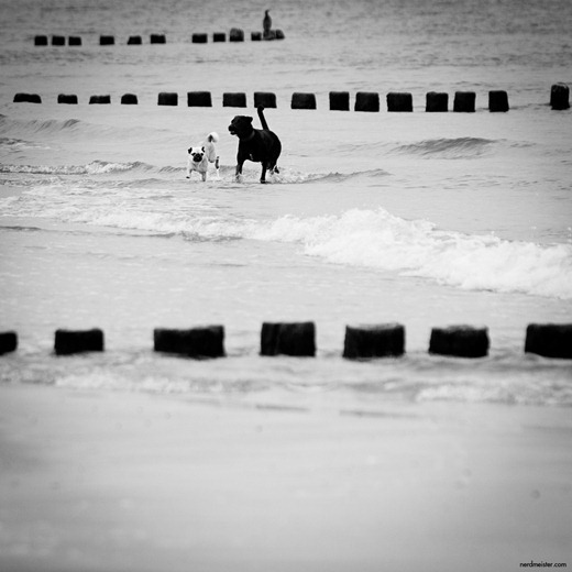 IMG_20110815_135306_2000