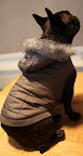 I love the cozy quilted fabric and also that it's water resistant.  Perfect for running through precipitation!