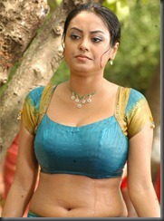 tamil actress meenakshi